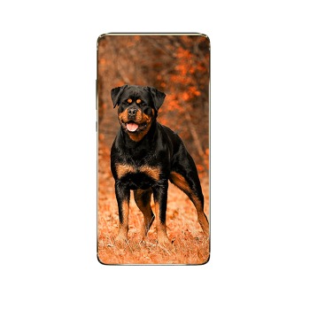 Silikónové puzdro pre iPhone 12 Mini
