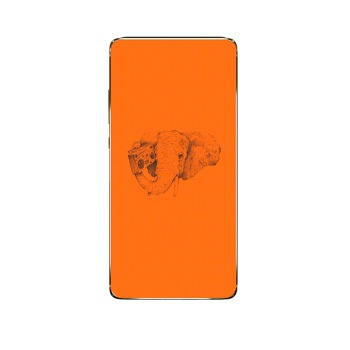 Ochranný kryt pre Samsung Galaxy S10