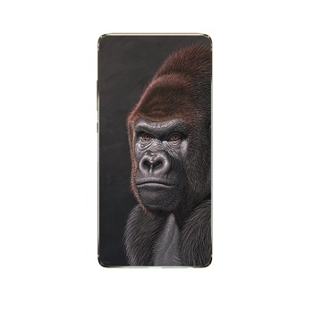 Ochranné puzdro pre Samsung Galaxy J7 2018