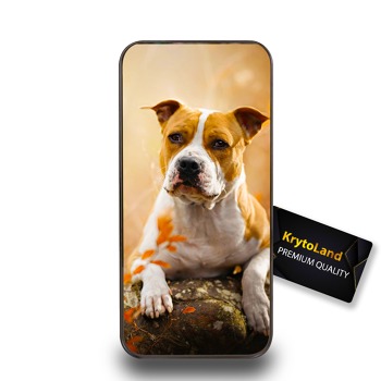 Ochranný kryt pre Samsung Galaxy Note 10+ / Note 10 Pro