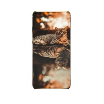 Zadný kryt pre Samsung Galaxy Note 10 Lite