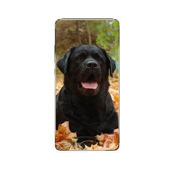 Zadný kryt pre Huawei P40 Lite