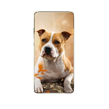 Zadný kryt pre Xiaomi Redmi Note 10 (5G)
