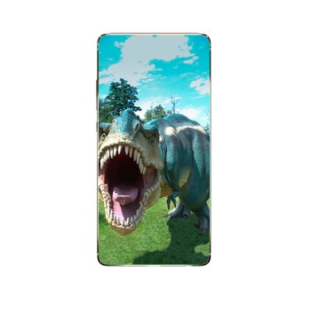 Kryt pre Realme C11