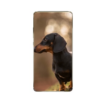 Zadný kryt pre Realme C12